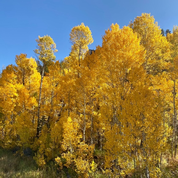 Meet your Posher, U - Picture 1 of 1